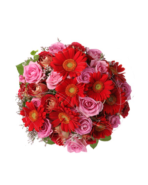 Roosi ja gerbera sülem